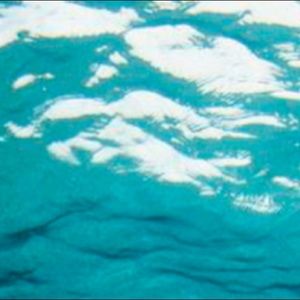 Meet your Posher, Isaac